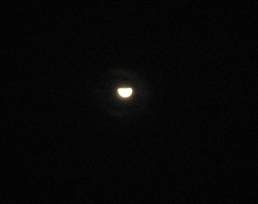Picture20090304 moon.jpg